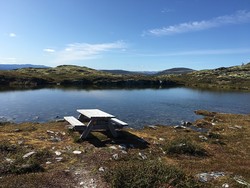 Rasteplass Dynjefjellet