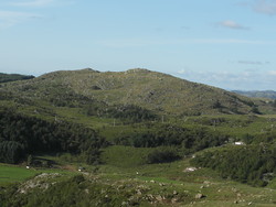 Røynåsen