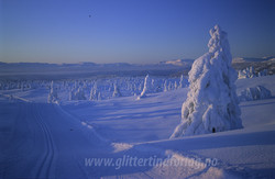 Skardåsen skiløype