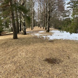 Gravlundhøgda Alfaset