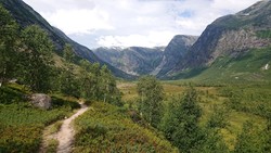 Austerdalsbreen fra Tungestølen