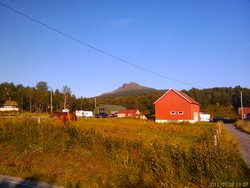 Blåfjellet 681 m i Bodø