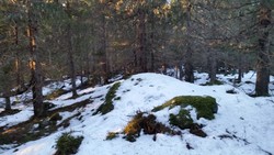 Sjøsæterhøgda punkt 756