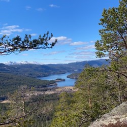 Tørrfurufjellet