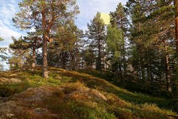 Kolkinnåsen