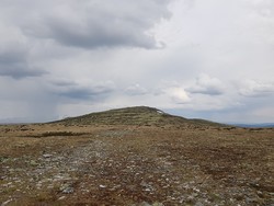 Søndre Kvitvolaknappen