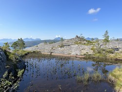 Memoreshøgda