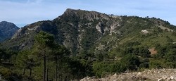 Pico de Lopera
