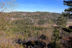 Høgås i Holmestrand