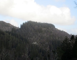 Brattfjellet
