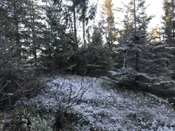 Kjerkeberget øst for