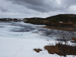 Ytre Svartfjellknippen