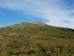 Taraldsviktinden