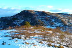 Steinlifjellet