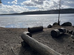 Brunesnabben i Bjørknessjøen