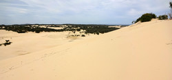 Dunes of the Big Drift