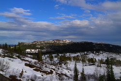 Svartfjellet