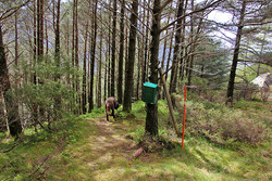 Nygård - Gloføykvatnet