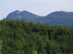 Børingen