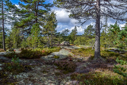 Hovlandsfjellet S1