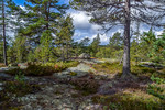 Hovlandsfjellet S1