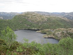 Svartavassknuten