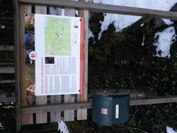 Asdøljuvet - Broa over Asdøla