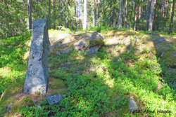 Skjellberget S1