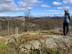 Aust for Altersteinen