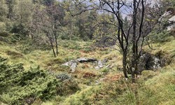 Utløetuft Løvstakken