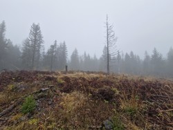 Sørøst for Tjernslitjernet