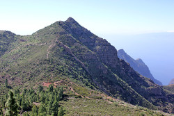Pico Verde