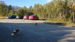 Grønlibruna parkering