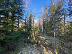 Vesle Tonekollen Sør