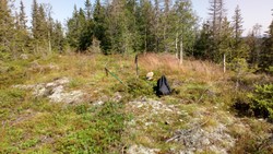 Gransjøhøgda Nordøst