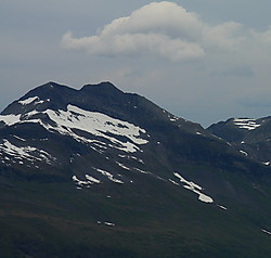 Storbotnshornet