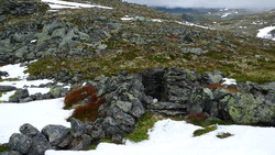 Reinsgreftene fangstanlegg