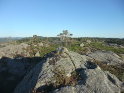 Aust for Takletjørn