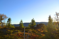 Gusstulfjellet