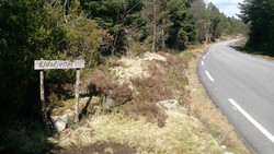 Eldsfjellet fra øst