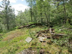 Svartahola gamlestølen