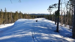 Branntjernhøgda trig pkt