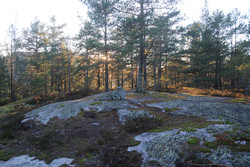 Forbergåsen