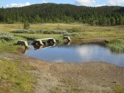 Sørheimstølstjernet p-lomme