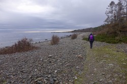 Jomfruland nasjonalpark