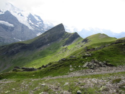 Lauberhorn