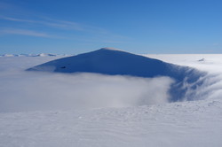 Håbergnuten