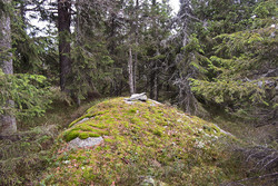 Skotjernfjellet