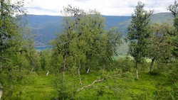 Kjørkhovden