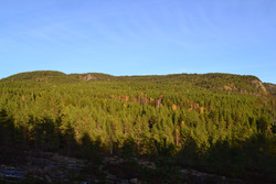 Vestre Hoppefjell Nordtoppen